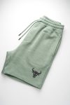 shorts-man-a-g1-front-zoom1-sage-1190.jpg
