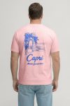 t-shirt-man-a-hanger-back-full-pink-5821.jpg
