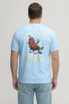 t-shirt-man-a-g1-back-full-sky-blue-5829.jpg