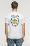 t-shirt-man-a-hanger-back-full-white-5853.jpg