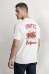 t-shirt-man-a-hanger-back-full-white-5843.jpg