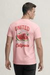 t-shirt-man-a-hanger-back-full-pink-5843.jpg