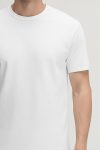 t-shirt-man-a-hanger-back-full-white-5831.jpg