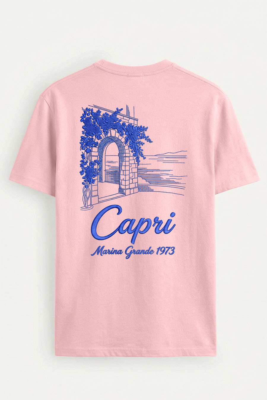 t-shirt-man-a-hanger-back-full-pink-5821.jpg