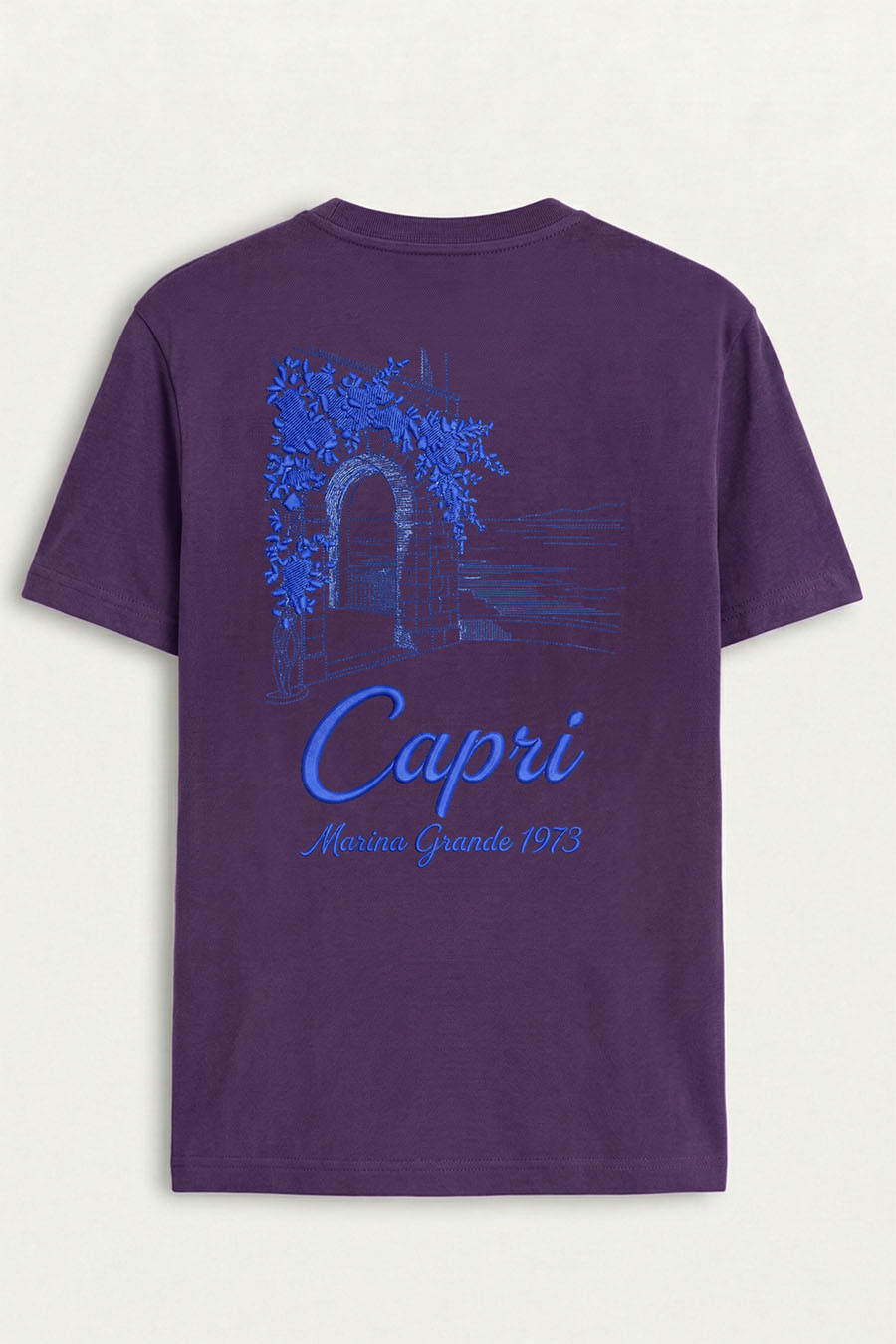 t-shirt-man-a-hanger-back-full-purple-5821.jpg
