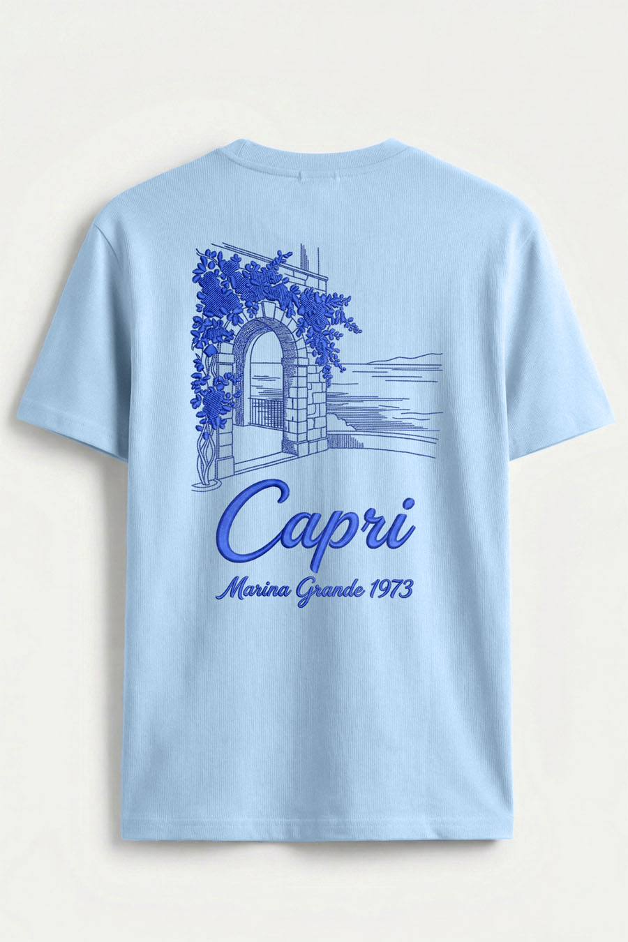 t-shirt-man-a-hanger-back-full-sky-blue-5821.jpg