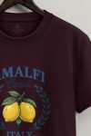 t-shirt-man-a-hanger-front-zoom1-burgundy-5705.jpg