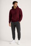 Ανδρικό Σετ Μπορντό Φούτερ με Κουκούλα & Iron Gray Jogger