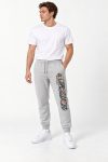 panteloni-jogger-andriko-a-g1-place-1-gray-6030.jpg