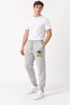 panteloni-jogger-andriko-a-g1-place-1-gray-6069.jpg